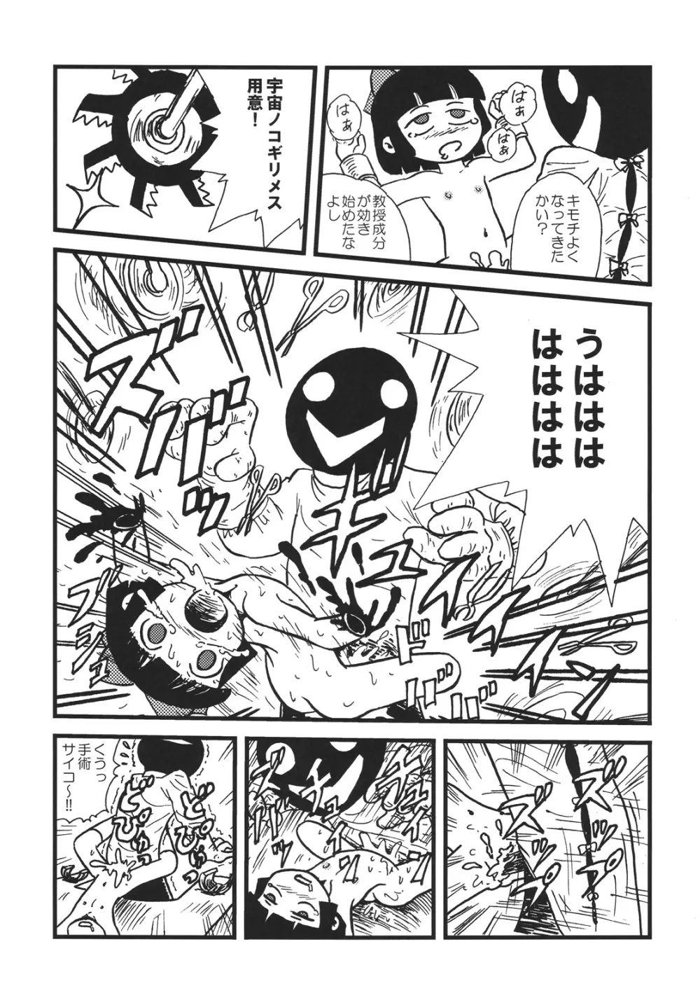 つるぺた研究報告書「つるぺた教団の野望」 Page.14