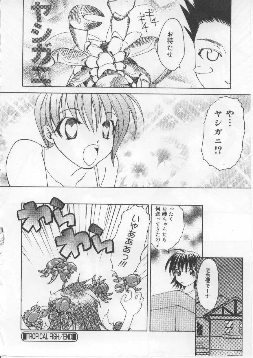 い・も・う・と Page.155