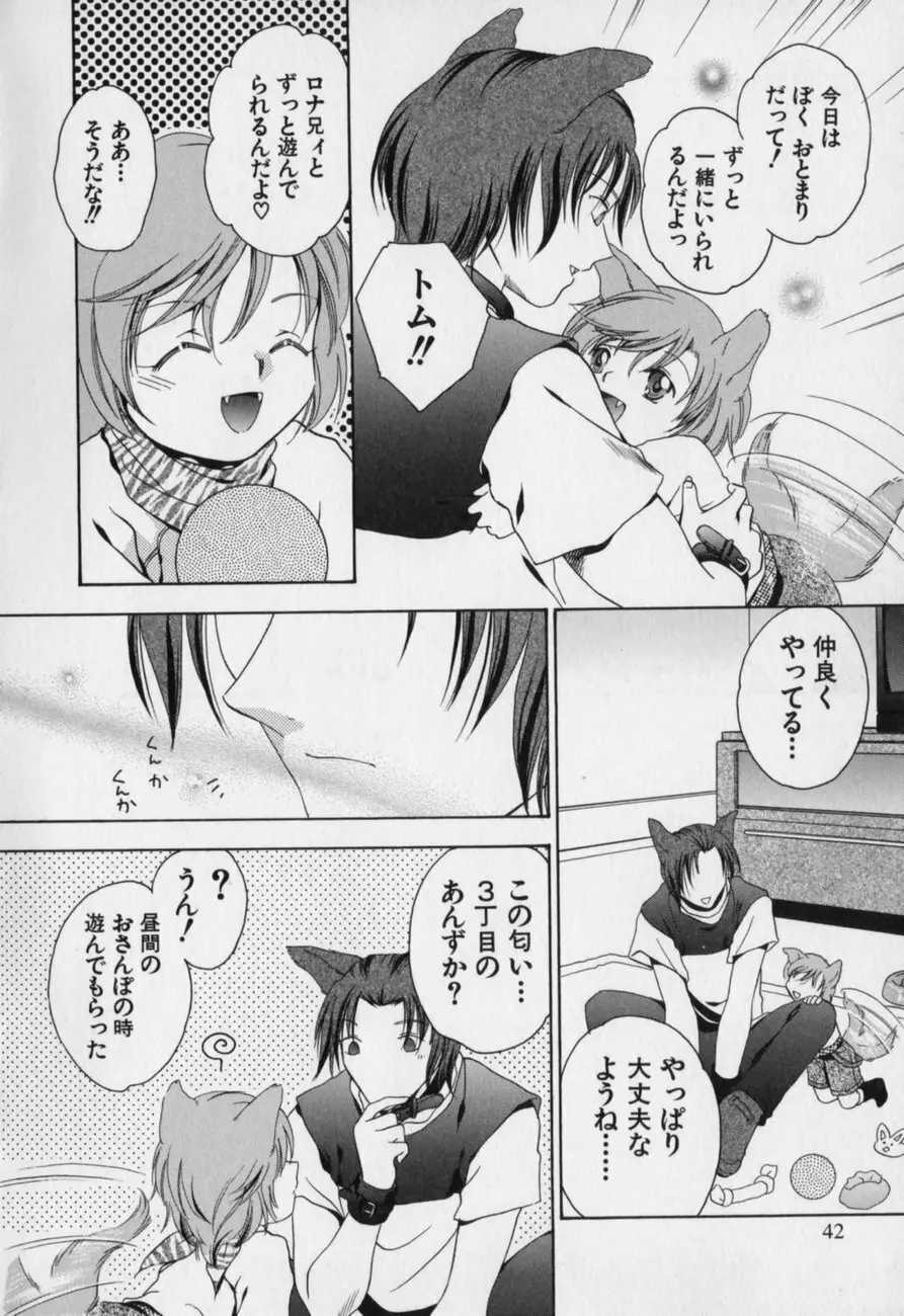 愛欲少年 Page.41