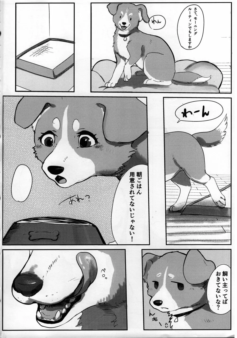 わんだふる!1 Page.3