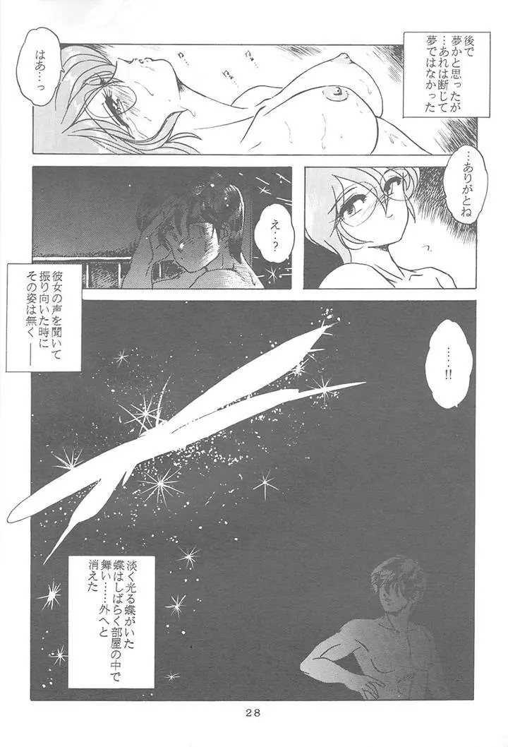 サディスティックマガジン 4号 Page.28