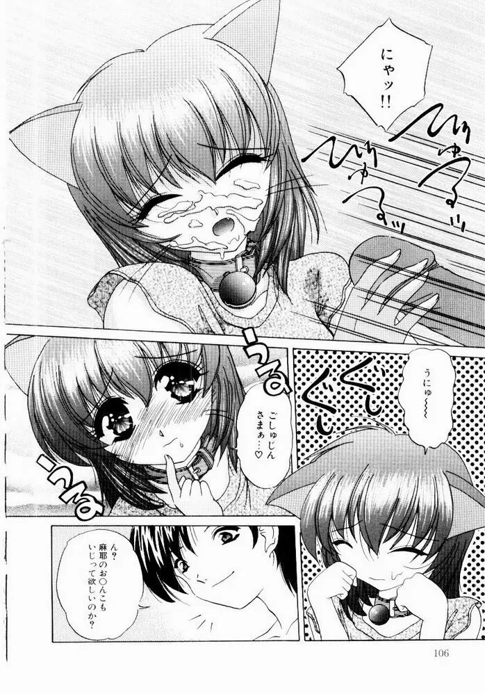 ときめき発情しすたーず♡ Page.108