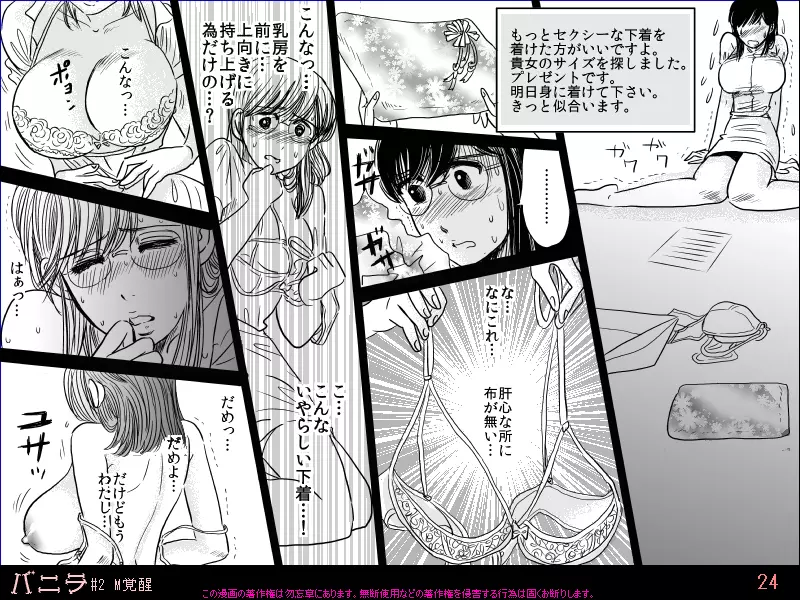 バニラ#2 Ｍ覚醒 Page.24