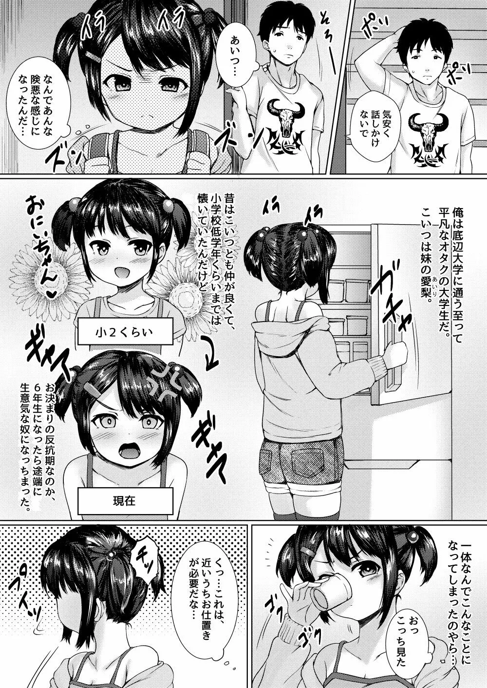 妹が生意気なメスガキ配信者だったので、脅してハメ撮り配信させたった Page.3