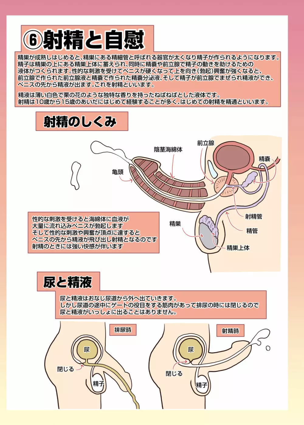 メイドさんと学ぶおんなのこのからだ Page.27