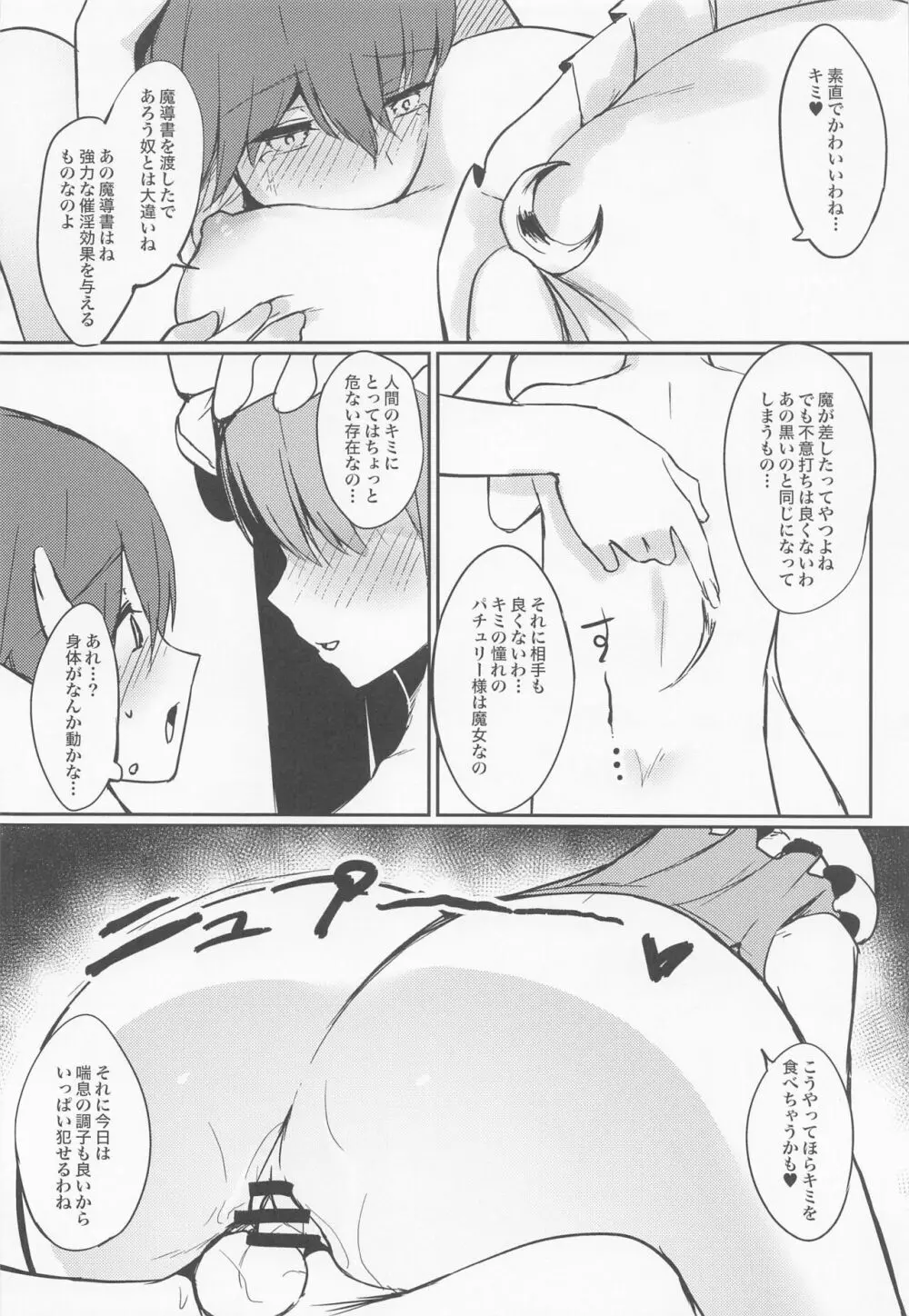 パチュリー様に想いを伝えたら襲われた話 Page.13