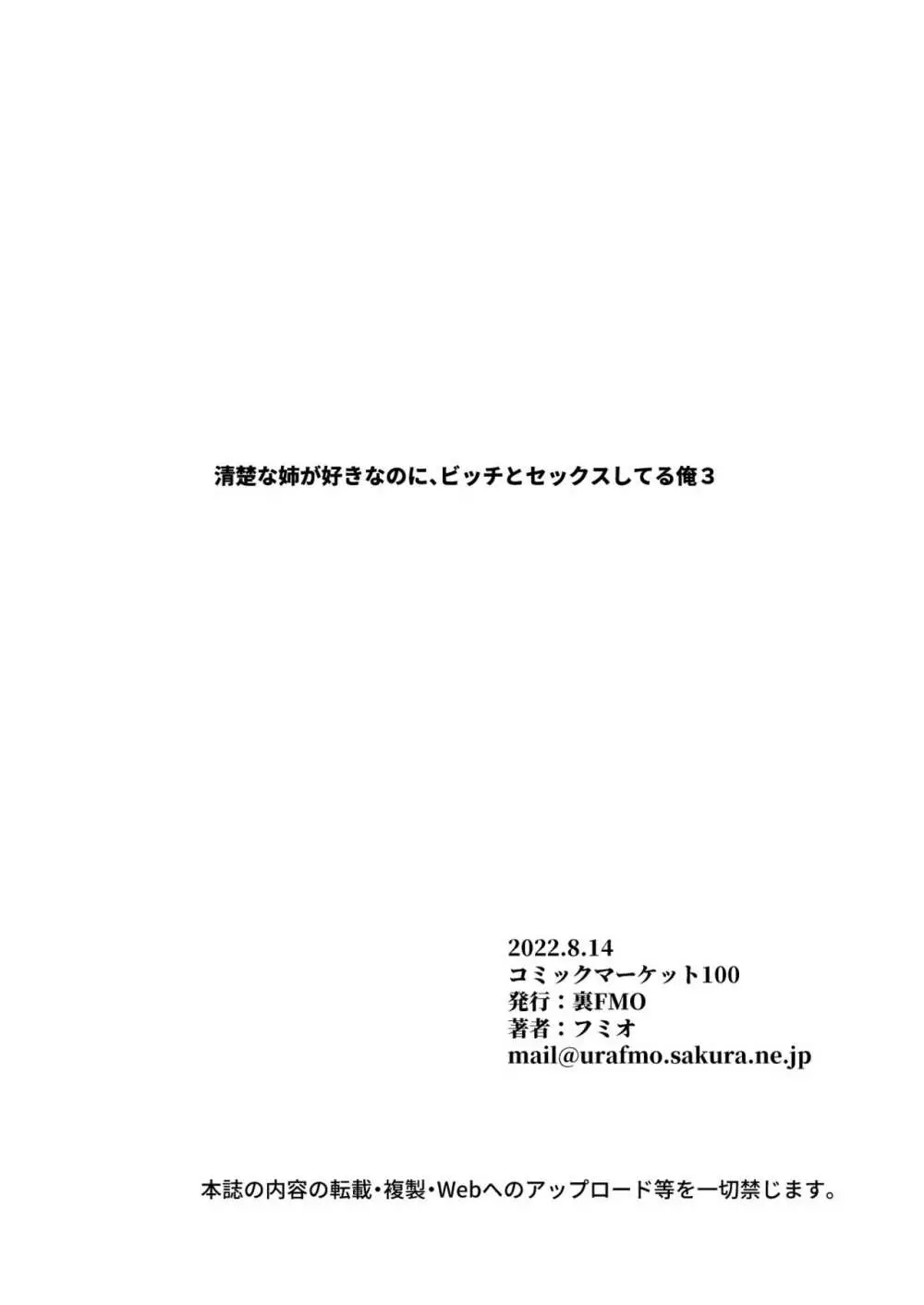 清楚な姉が好きなのに、ビッチとセックスしてる俺3 Page.3