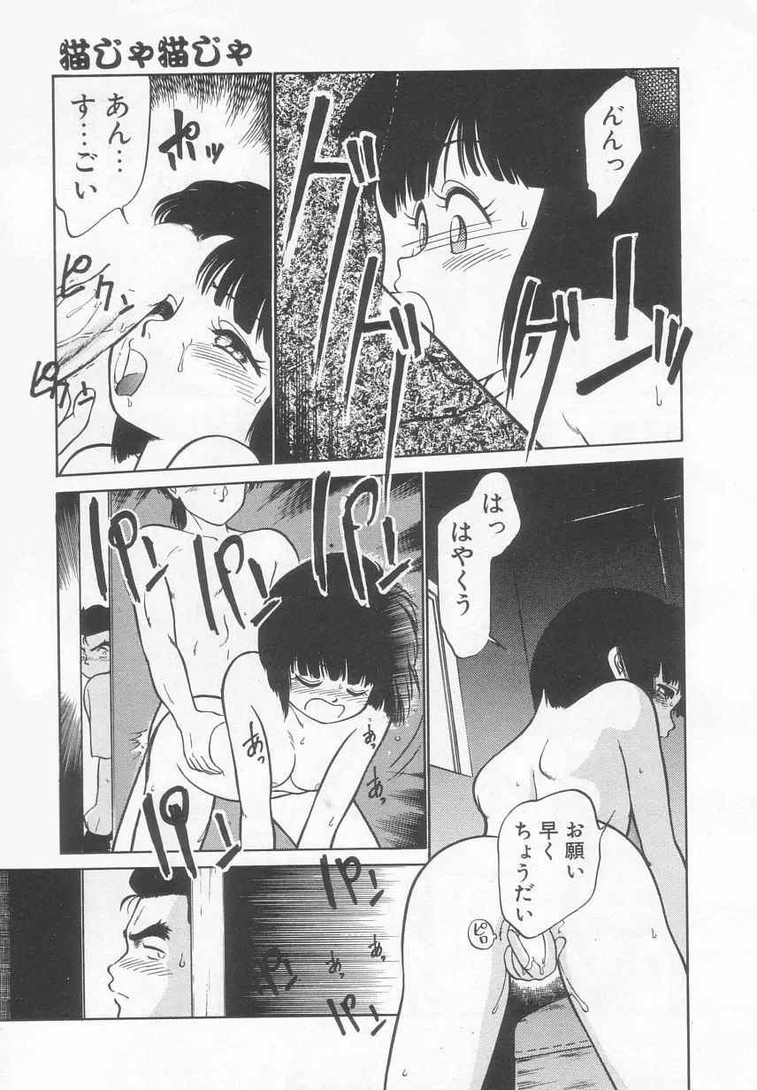 猫じゃ猫じゃ 2 Page.28