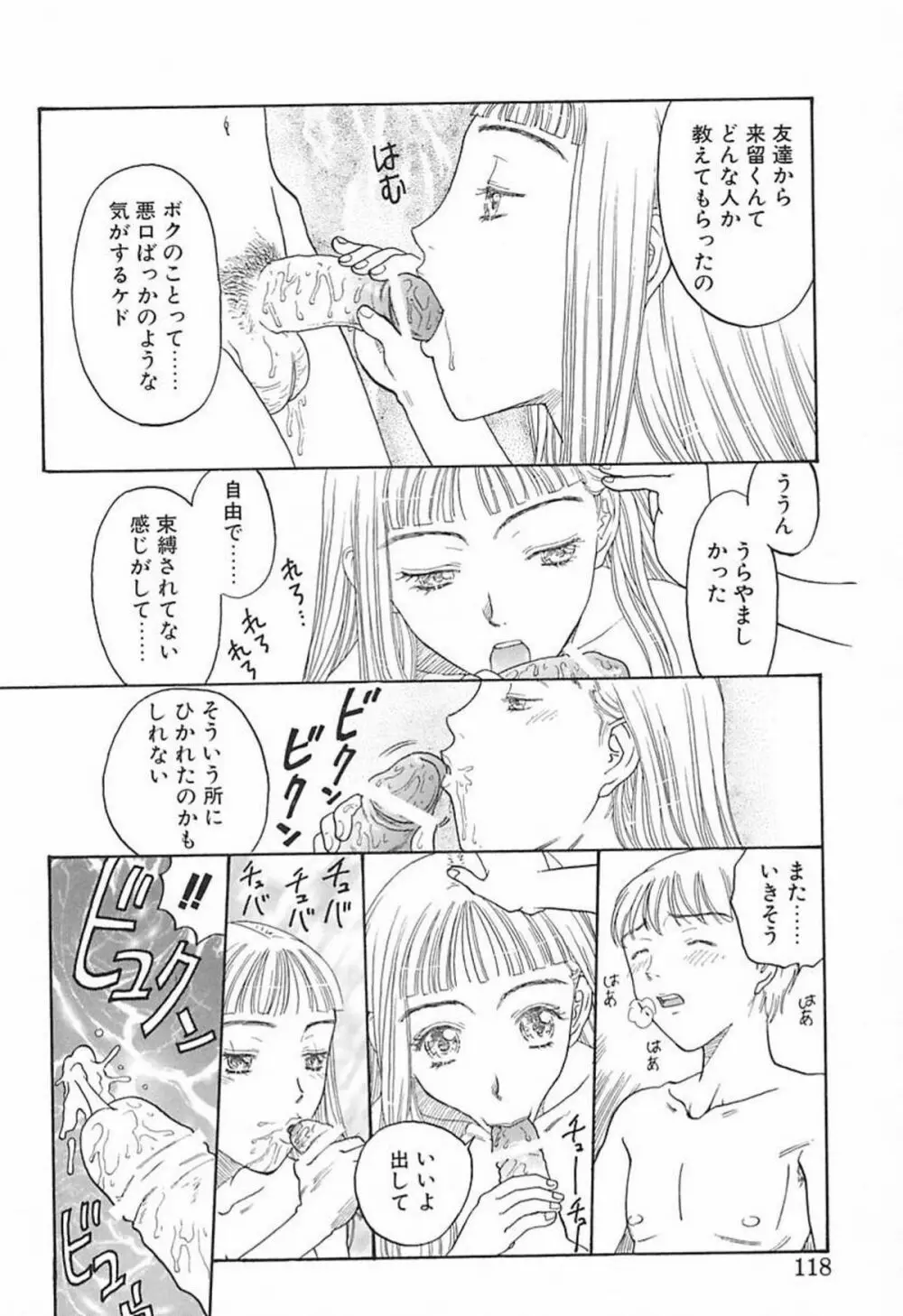 柔らかな襞 Page.117