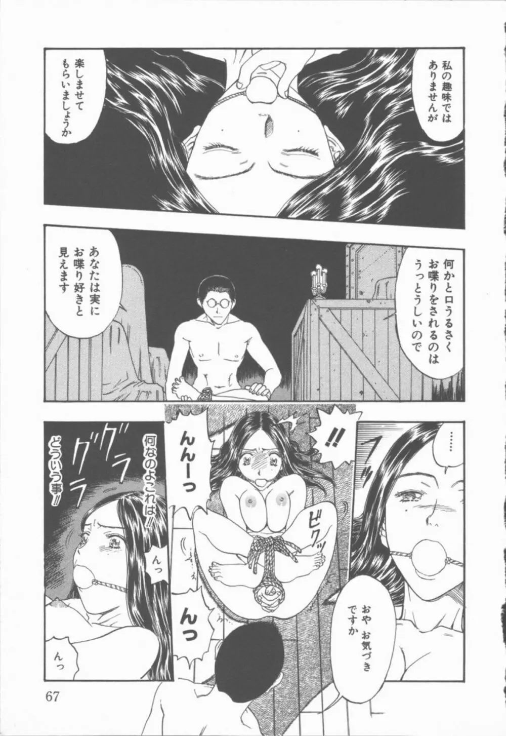 淫魔の棲む館 Page.68