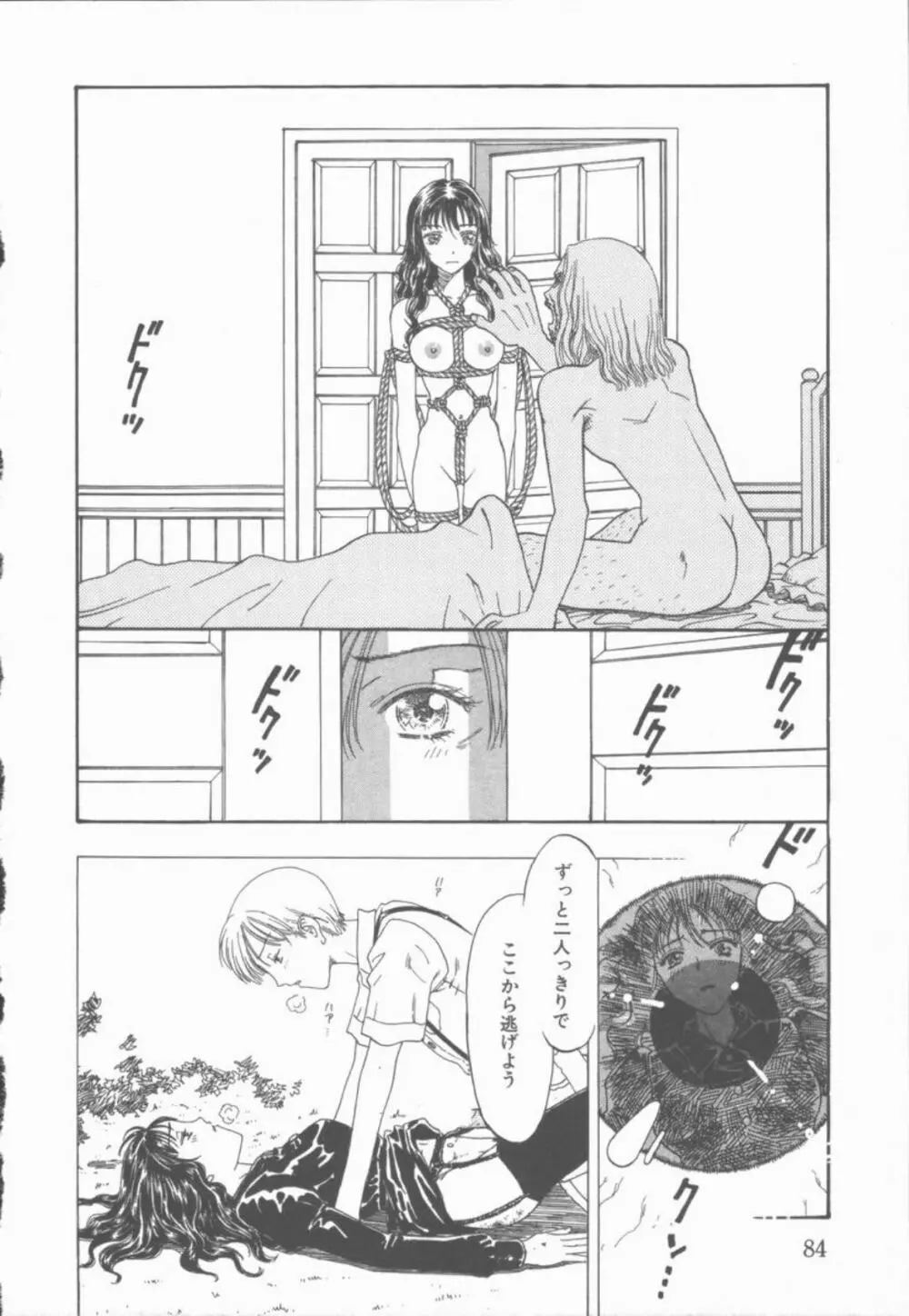 淫魔の棲む館 Page.85