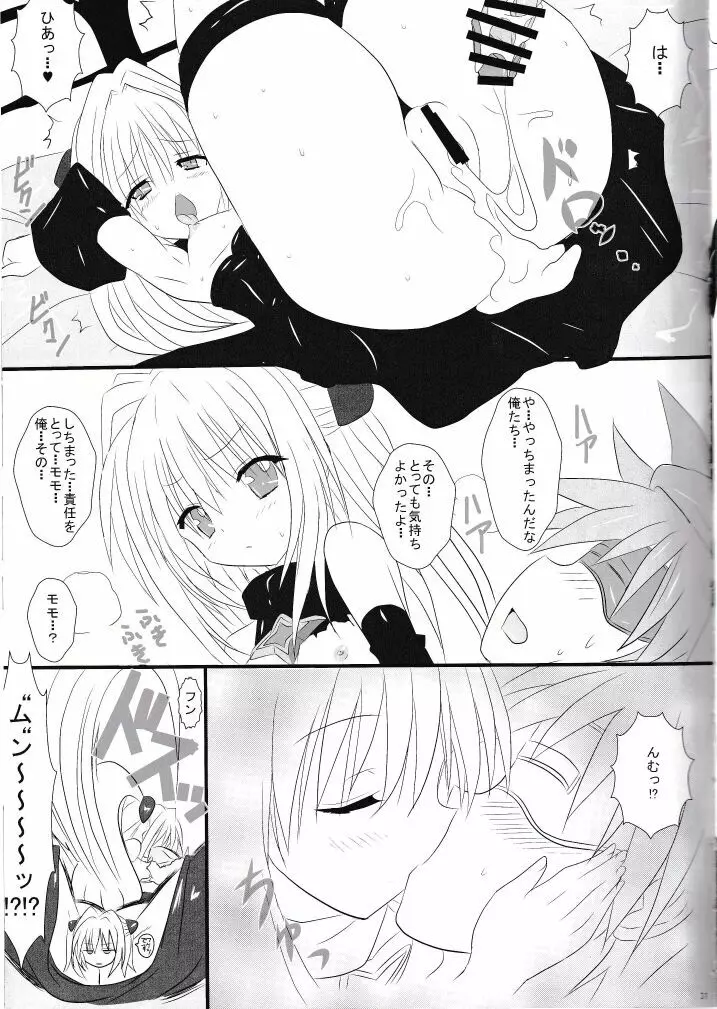 ププリンしかつかえない本 Page.30