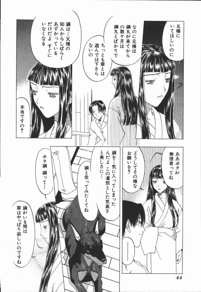 負界ノ書 Page.44