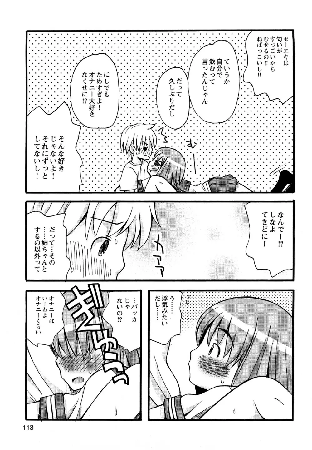 ぼくだって姉とセックスしてみたい！ Page.115