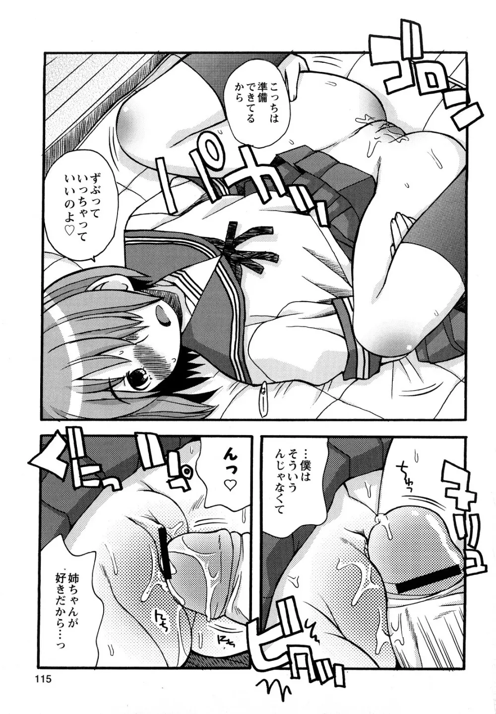 ぼくだって姉とセックスしてみたい！ Page.117