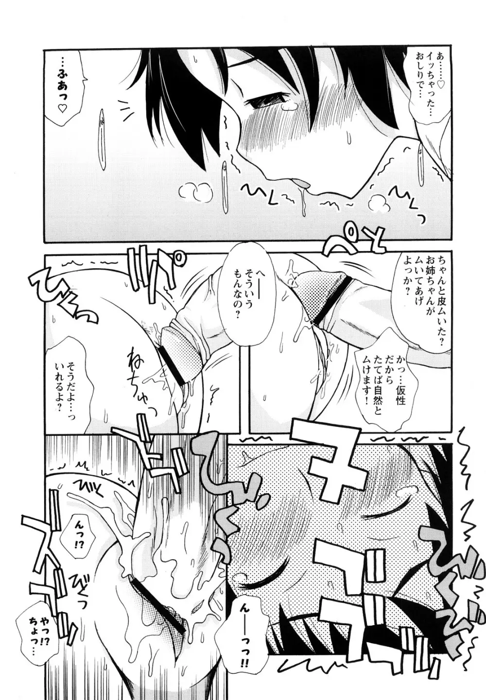 ぼくだって姉とセックスしてみたい！ Page.17