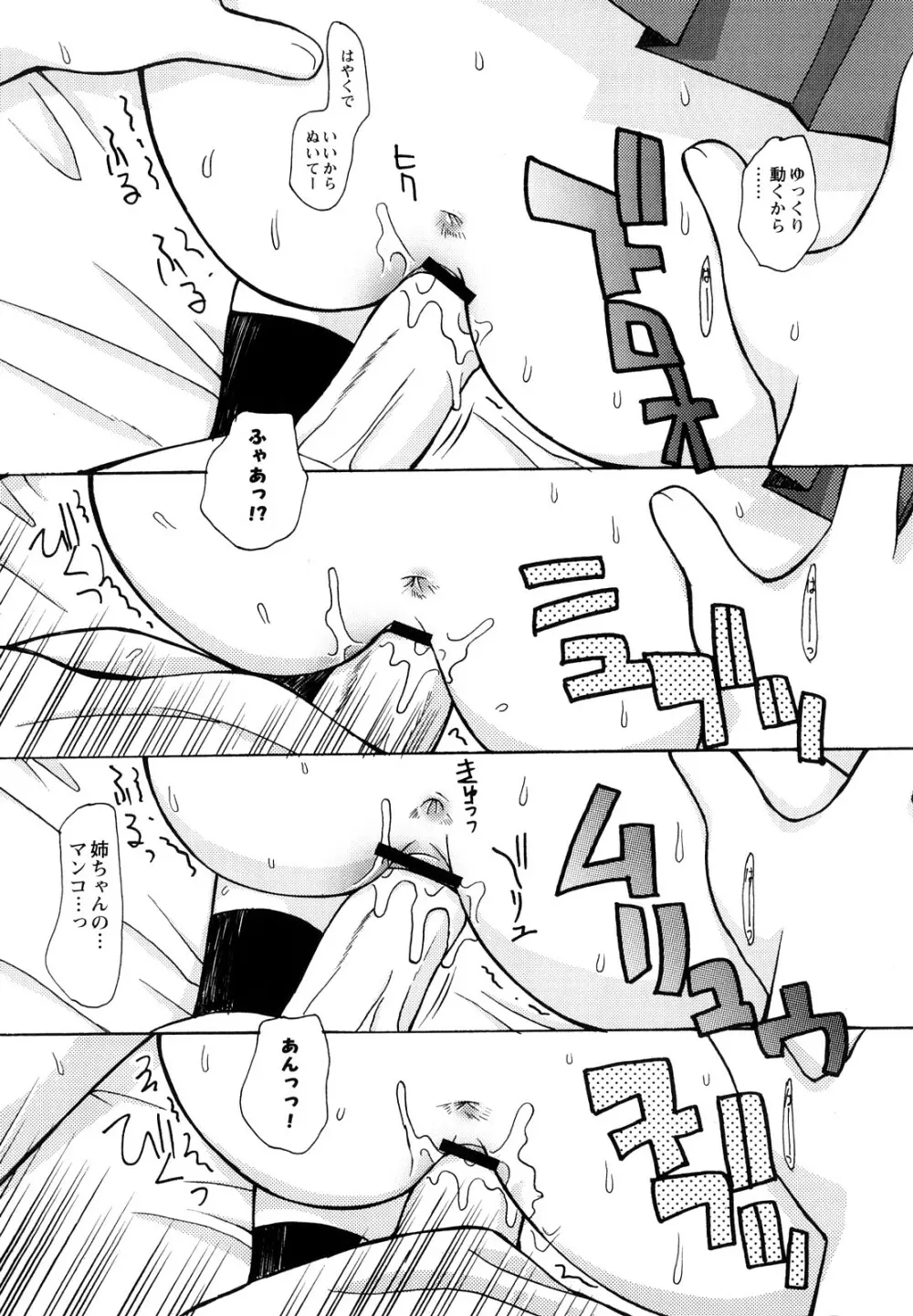 ぼくだって姉とセックスしてみたい！ Page.33