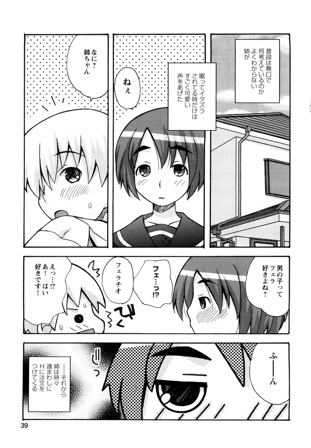 ぼくだって姉とセックスしてみたい！ Page.41