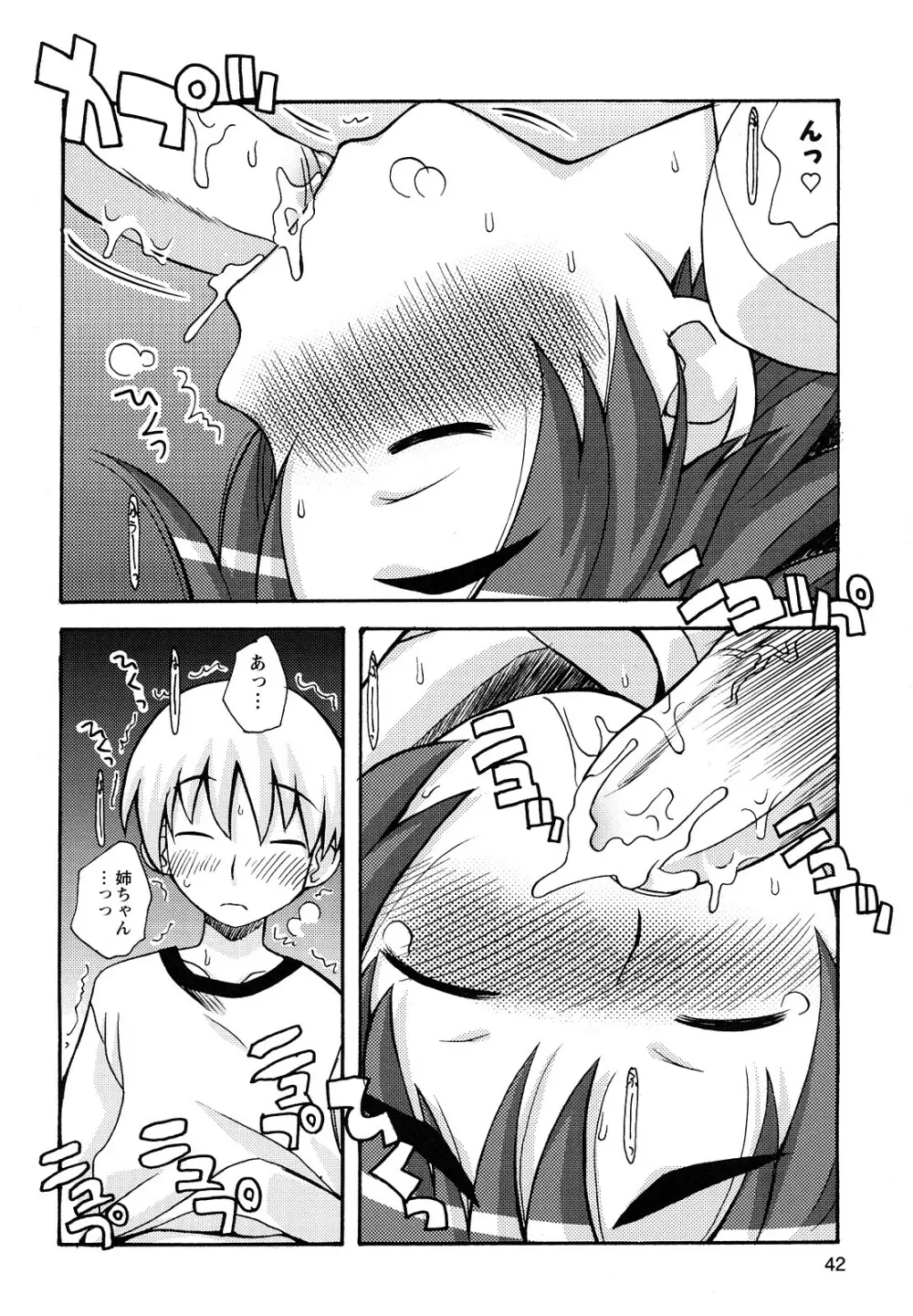 ぼくだって姉とセックスしてみたい！ Page.44