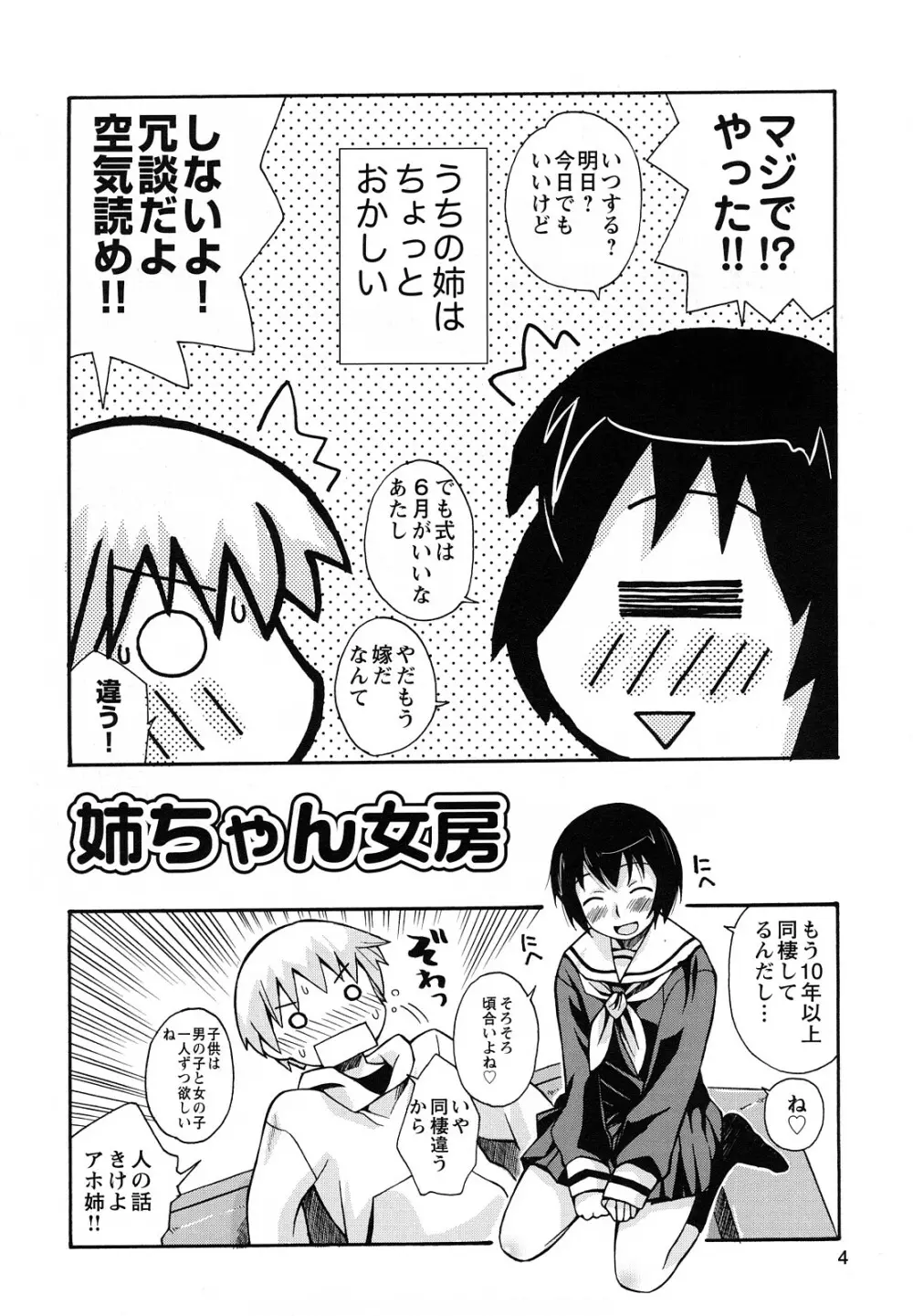 ぼくだって姉とセックスしてみたい！ Page.6