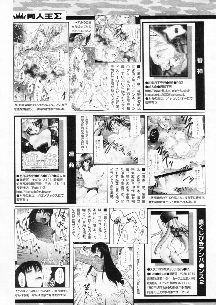 COMIC パピポ 2004年10月号 Page.244