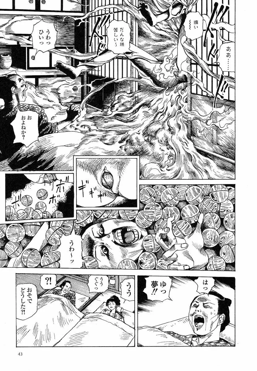 殺殺草紙・大江戸無残十三苦 Page.47