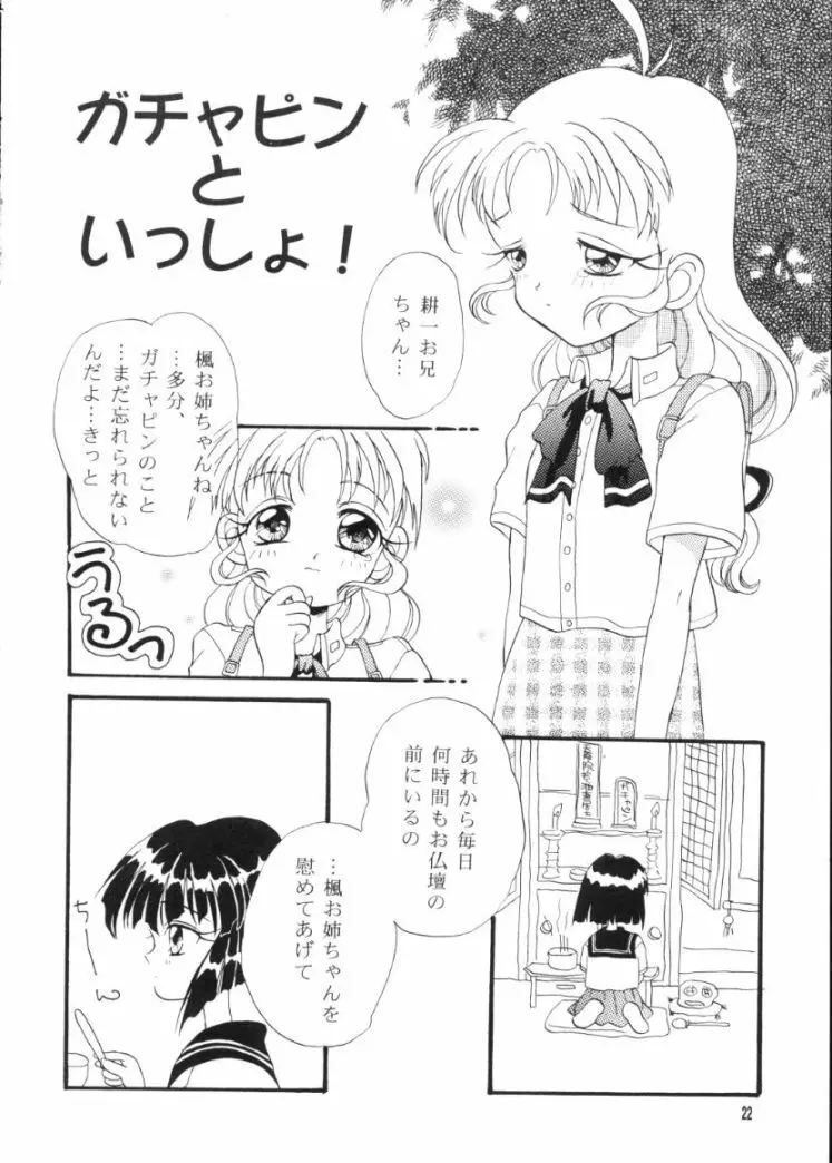 かえでのほん Page.21