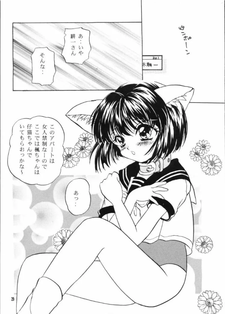 かえでのほん Page.28