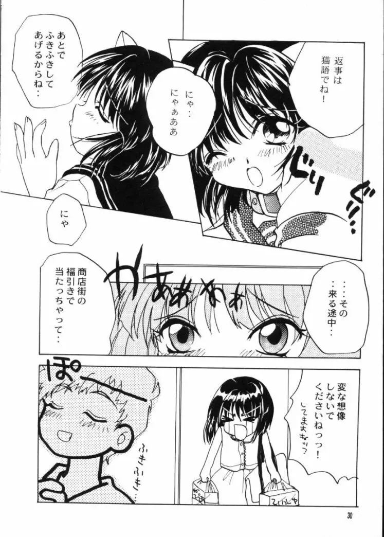 かえでのほん Page.29