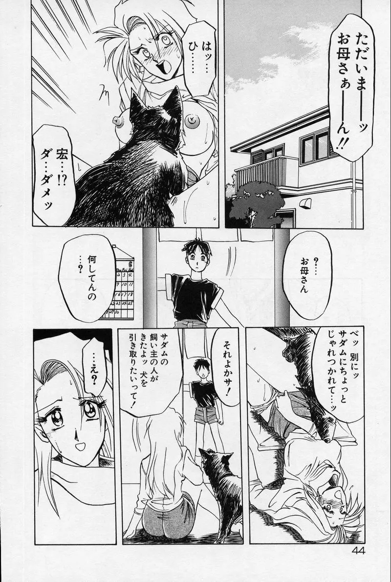 禁断の方程式 Page.47