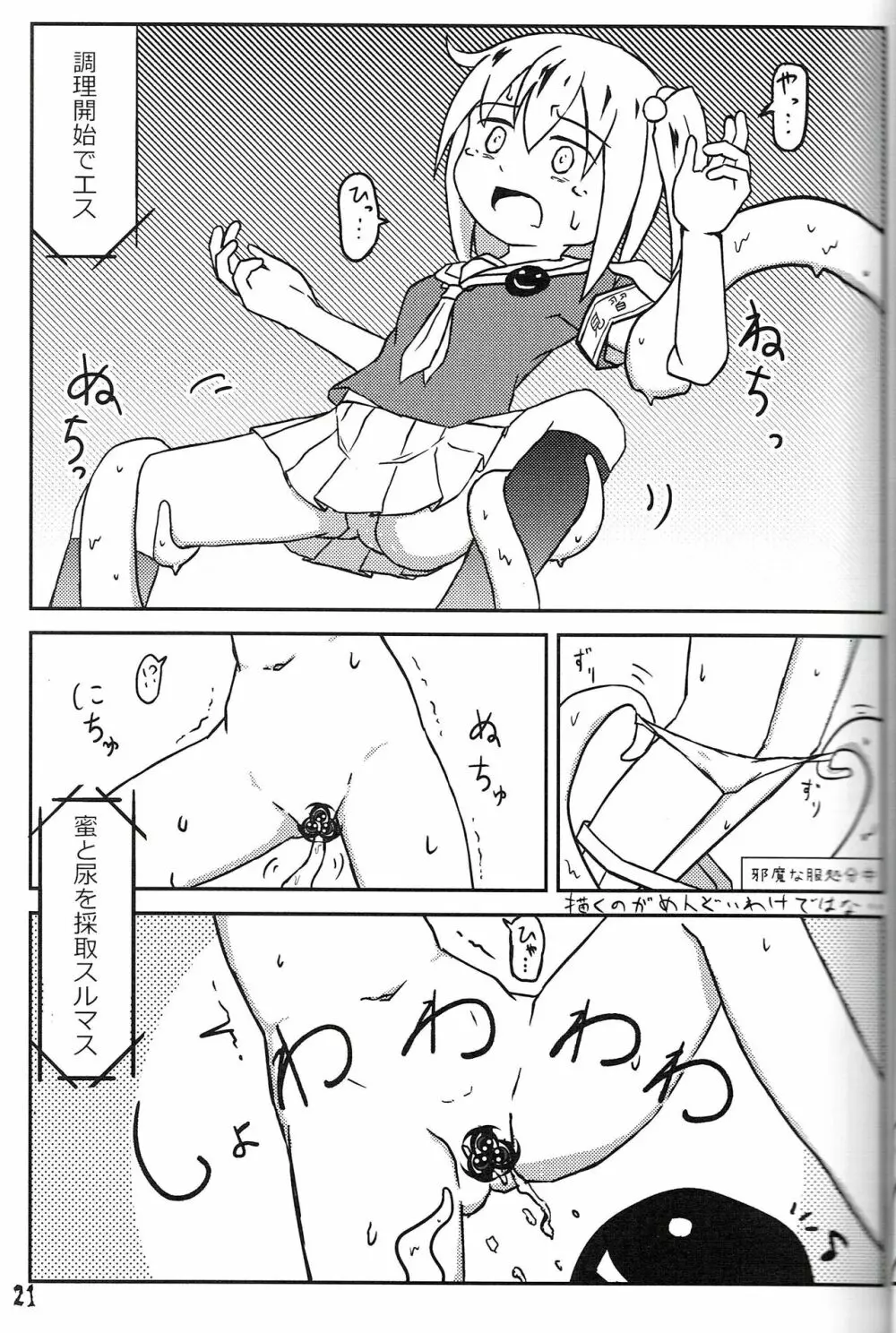 つるぺた研究報告書011 Page.21