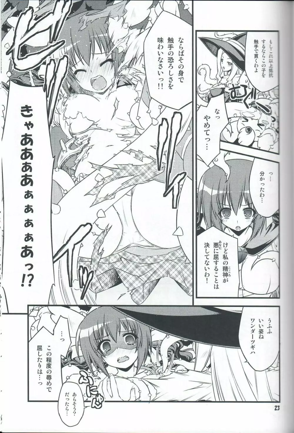 委員会連合with裸エプロン同盟の本。２。 Page.22