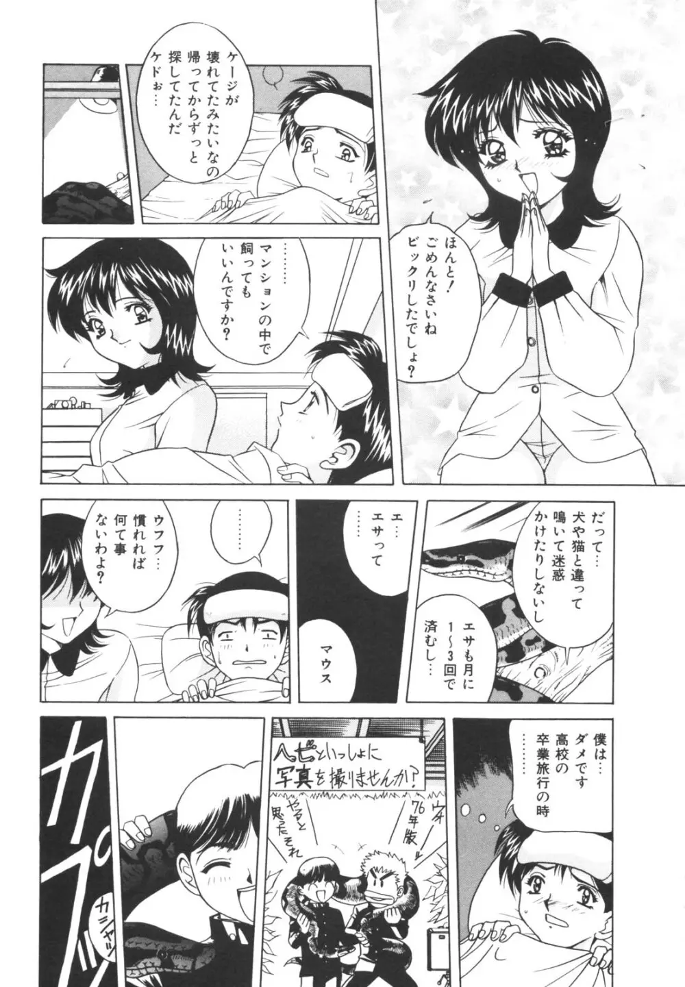 ドッキン！のぞき見シアター Page.85