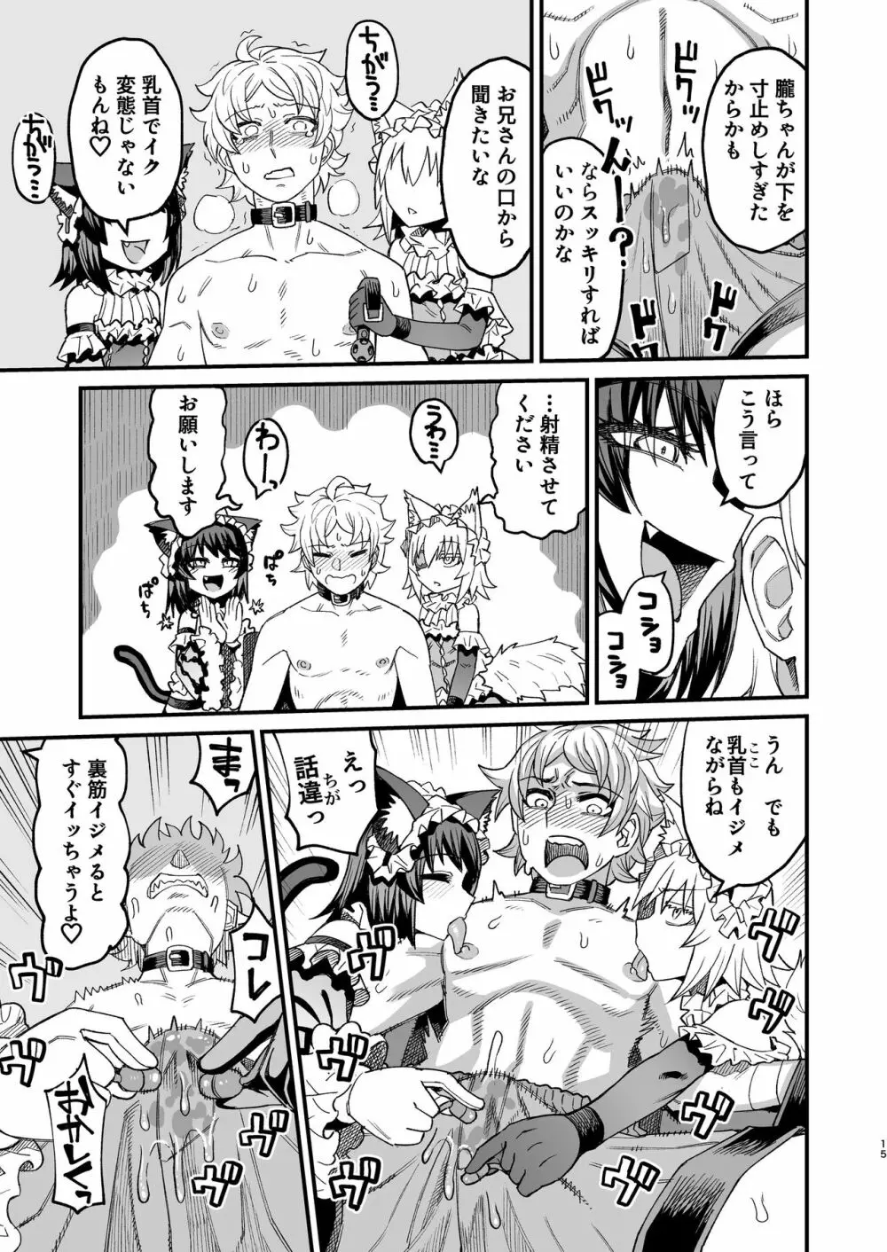 双子堕とし～アナタをマゾにしてあげる～ Page.14