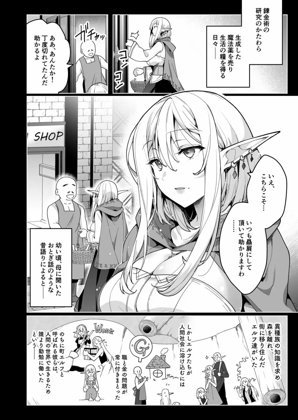 エルフに淫紋を付ける本 LEVEL:6 Page.3