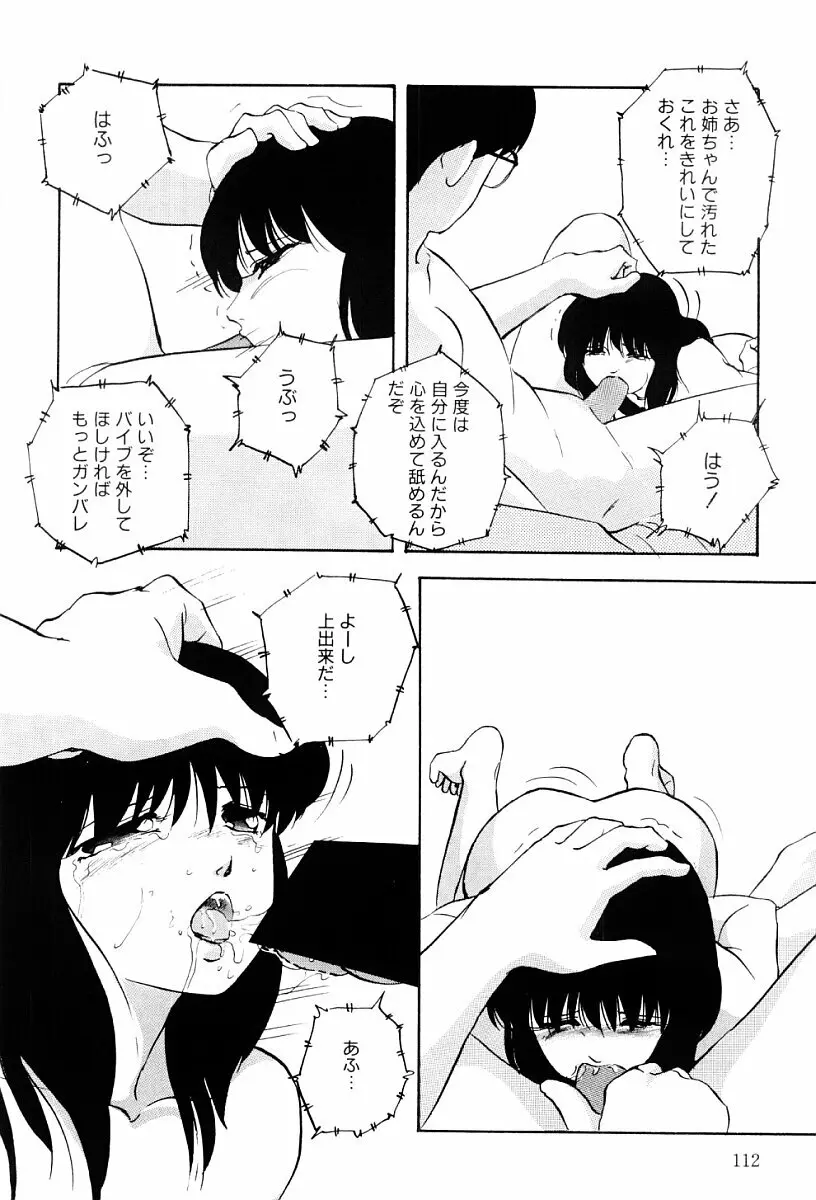 ぱわードール Page.111