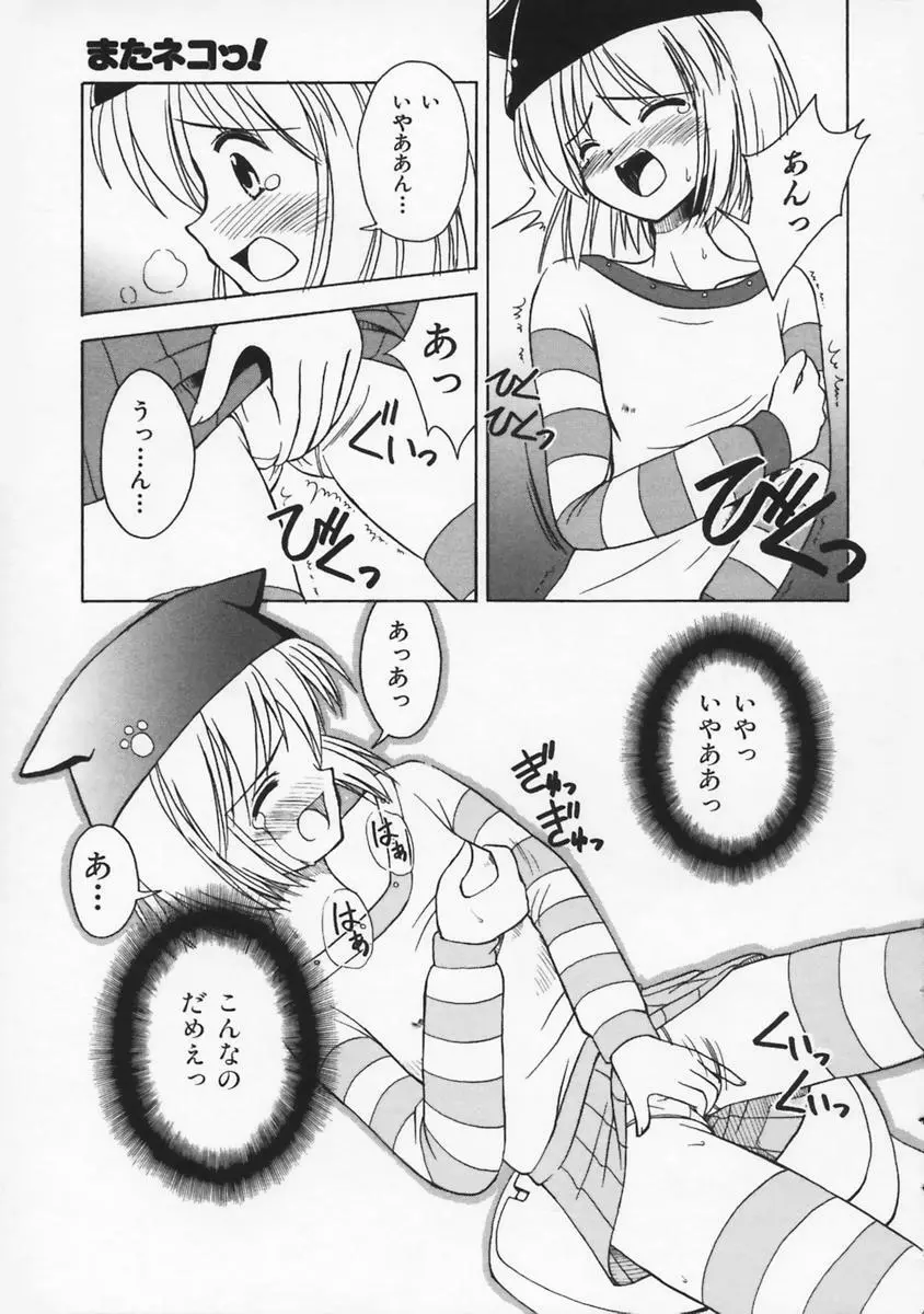 またネコっ！ Page.110