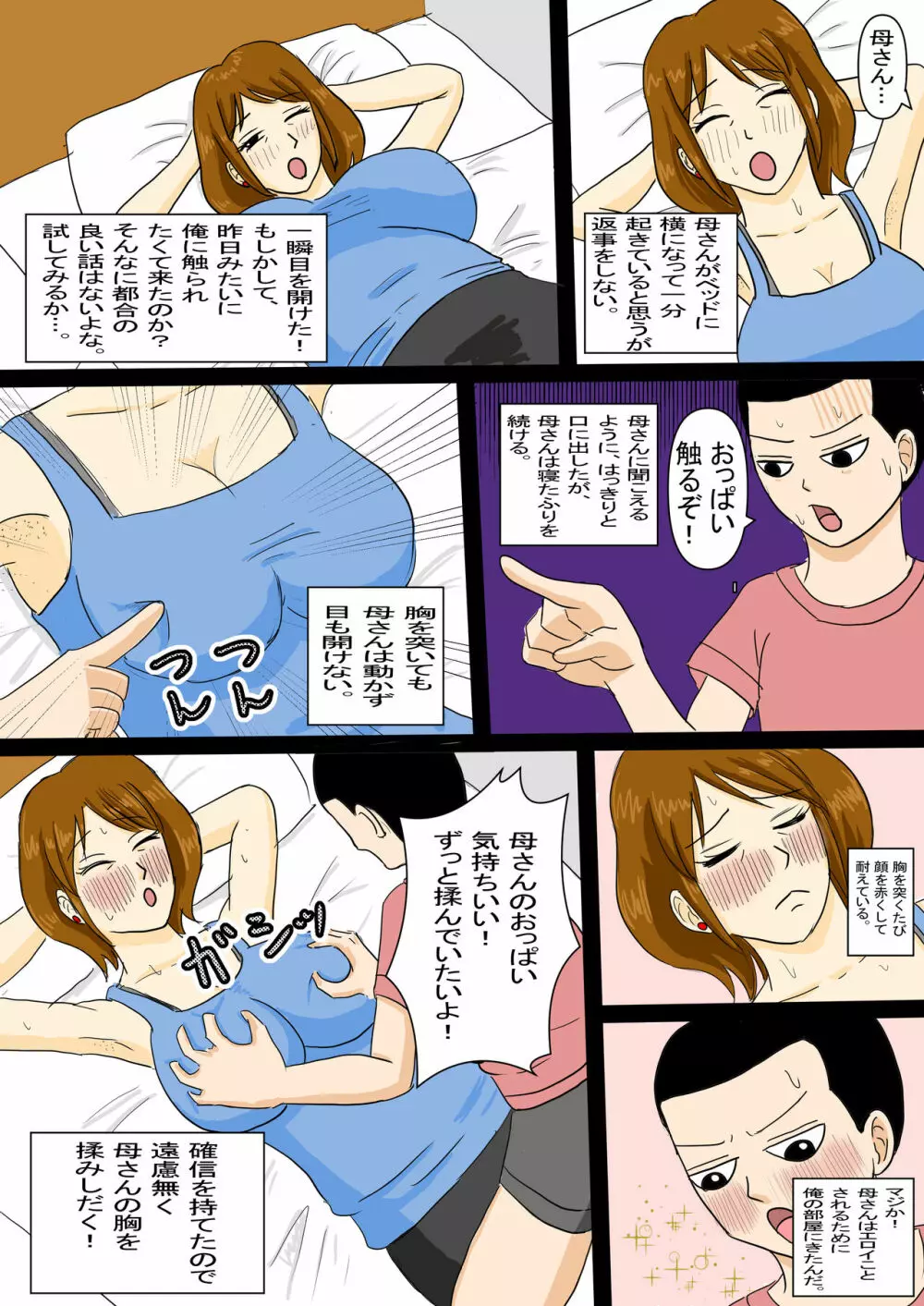 お昼寝母さんに欲情した息子 Page.12