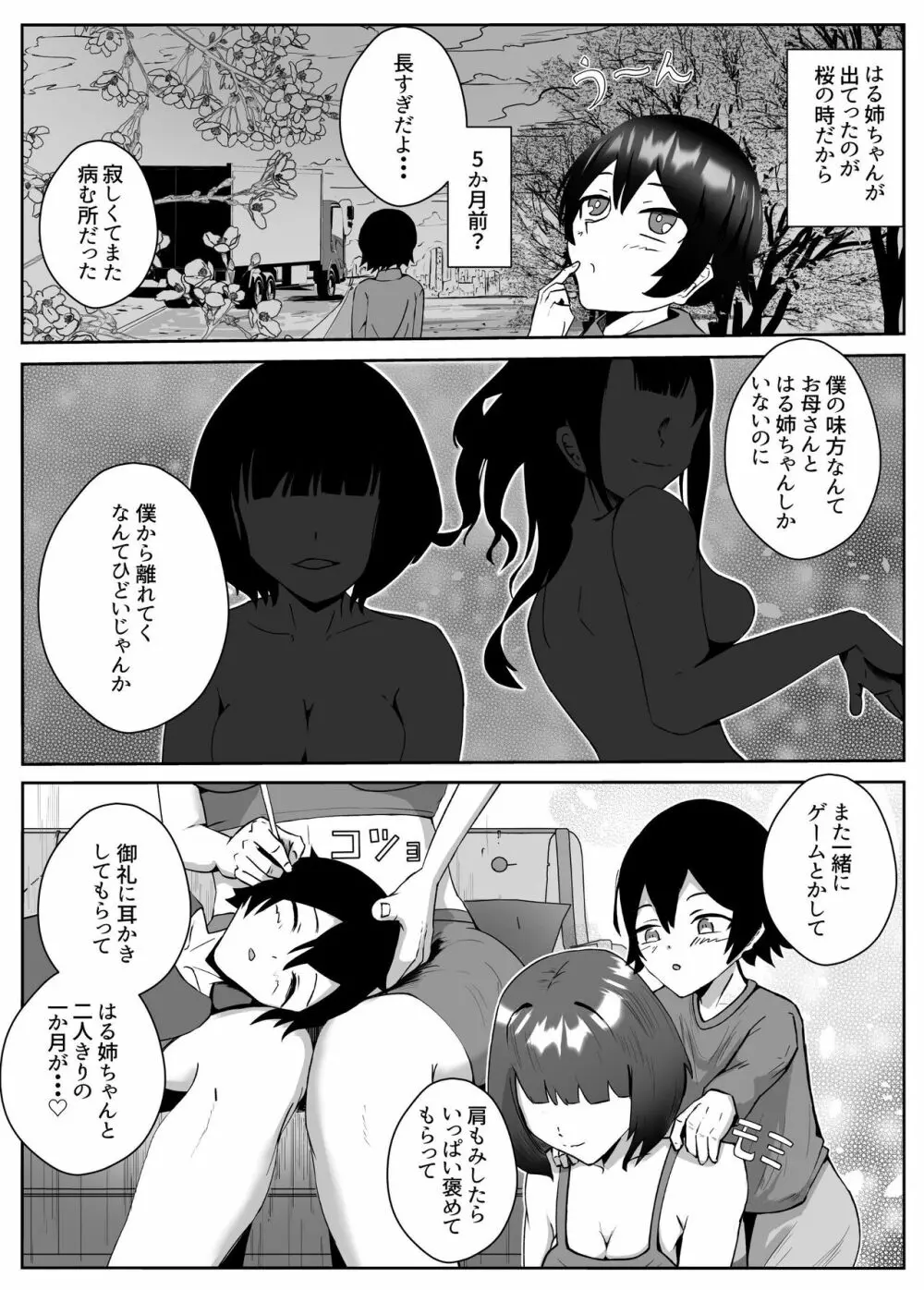 姉宅ハーレム_お姉ちゃんに会いに来ただけなのに・・・ Page.3