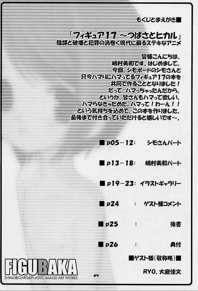 FIGUBAKA Page.2