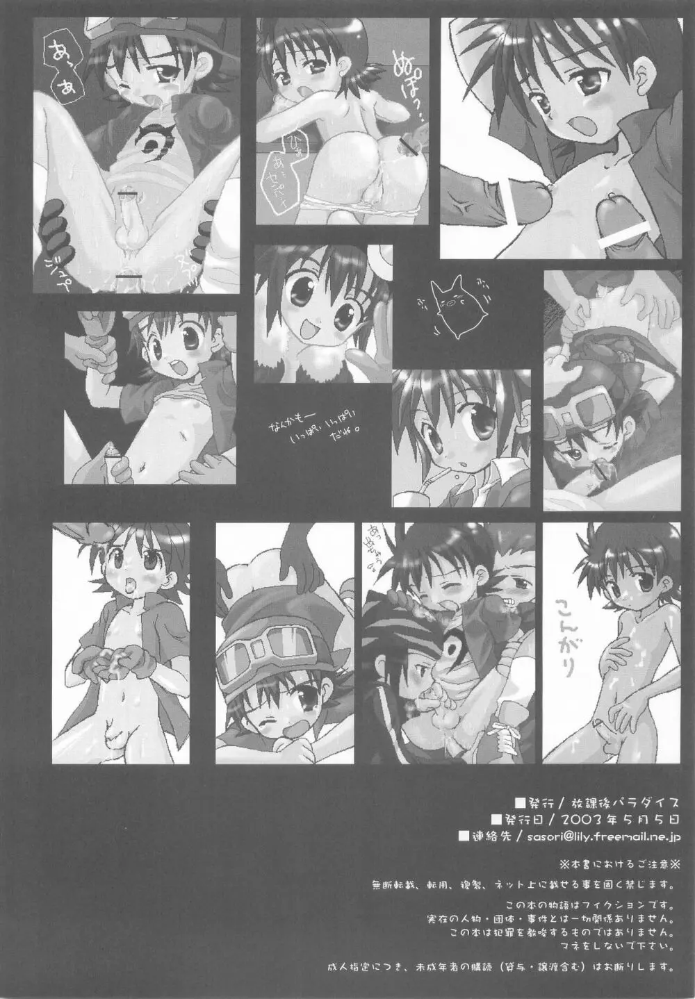 DIGIMON ADVENTURE ALL SERIES HEROES Page.17