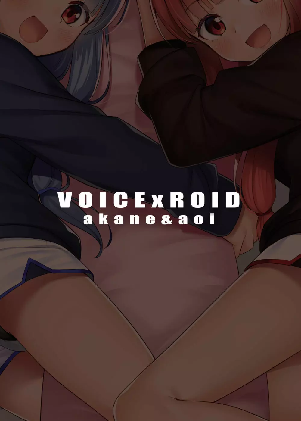 VOICExROID Page.19