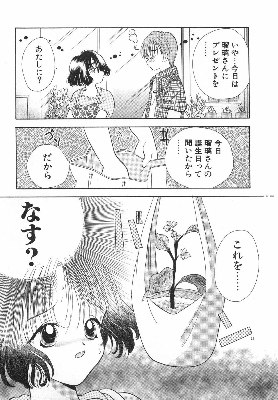 オレンジ色の花 Page.113