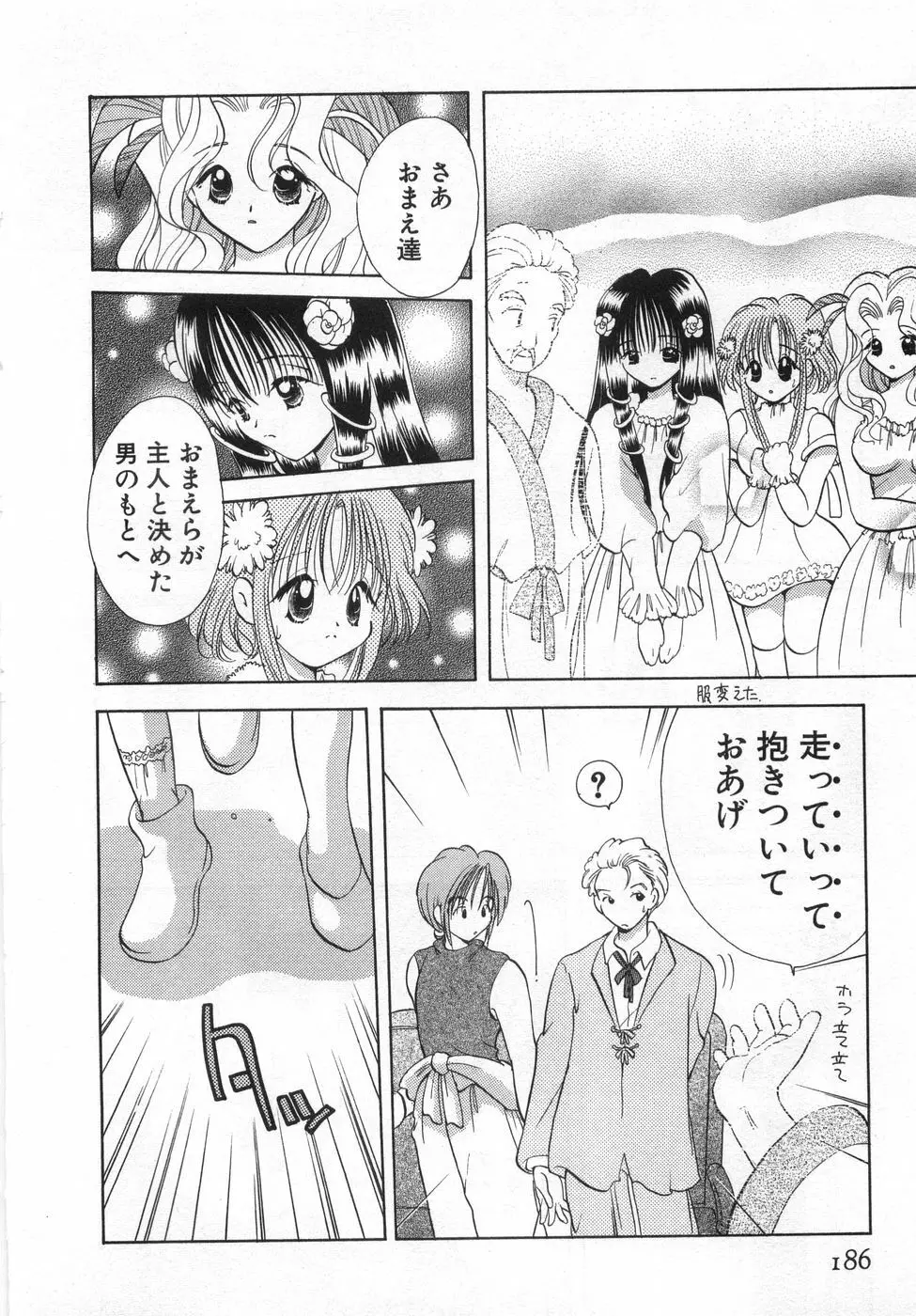 オレンジ色の花 Page.192