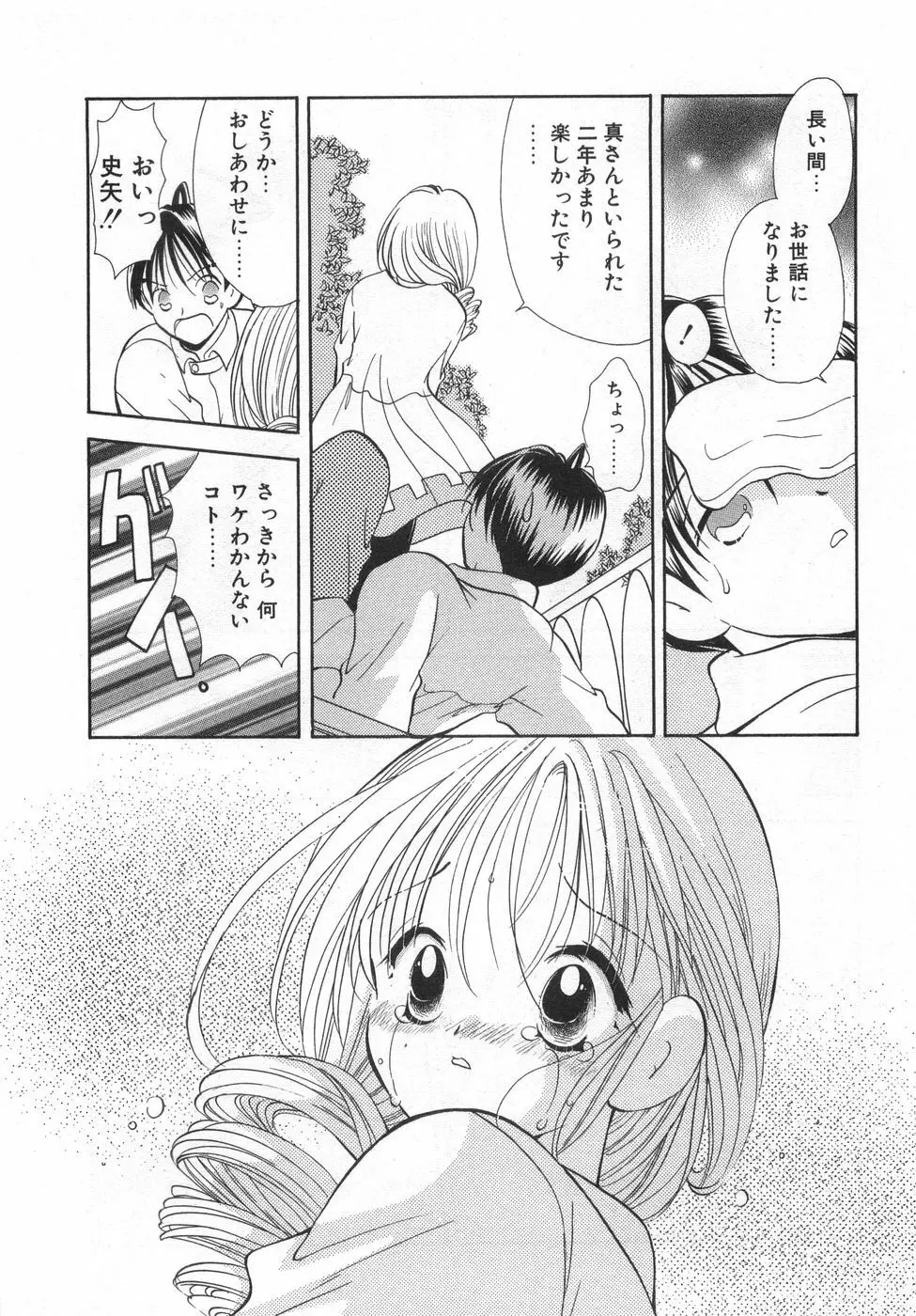 オレンジ色の花 Page.40