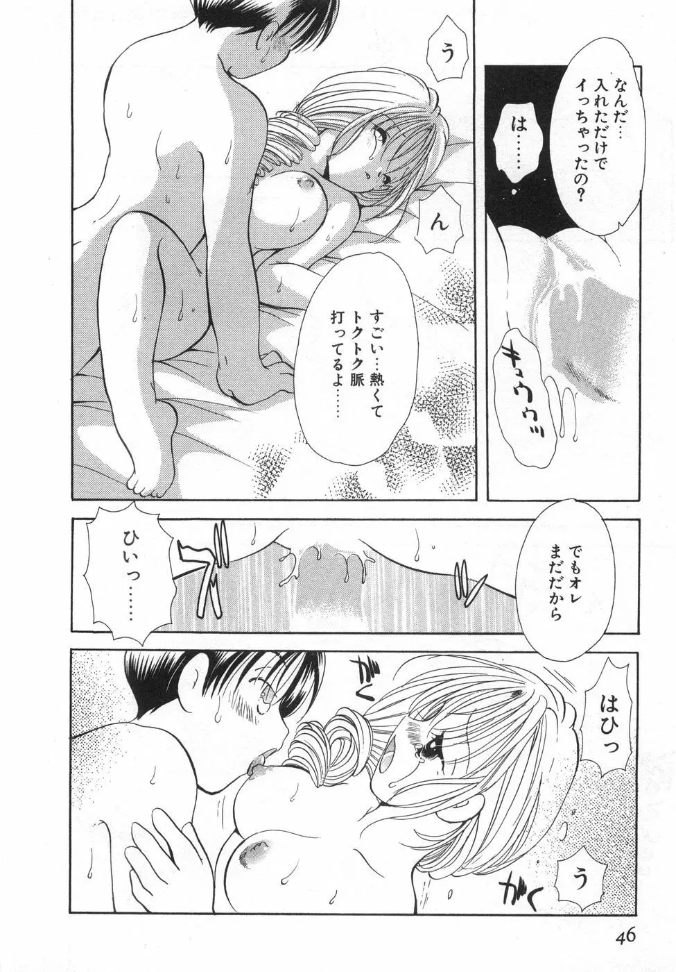 オレンジ色の花 Page.52