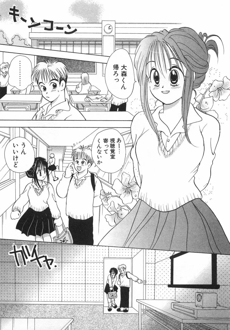 オレンジ色の花 Page.63