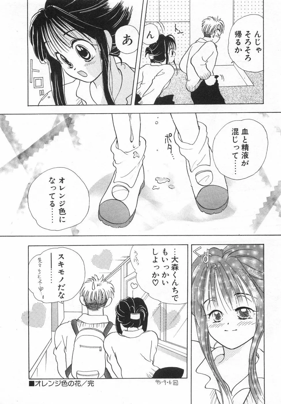 オレンジ色の花 Page.72