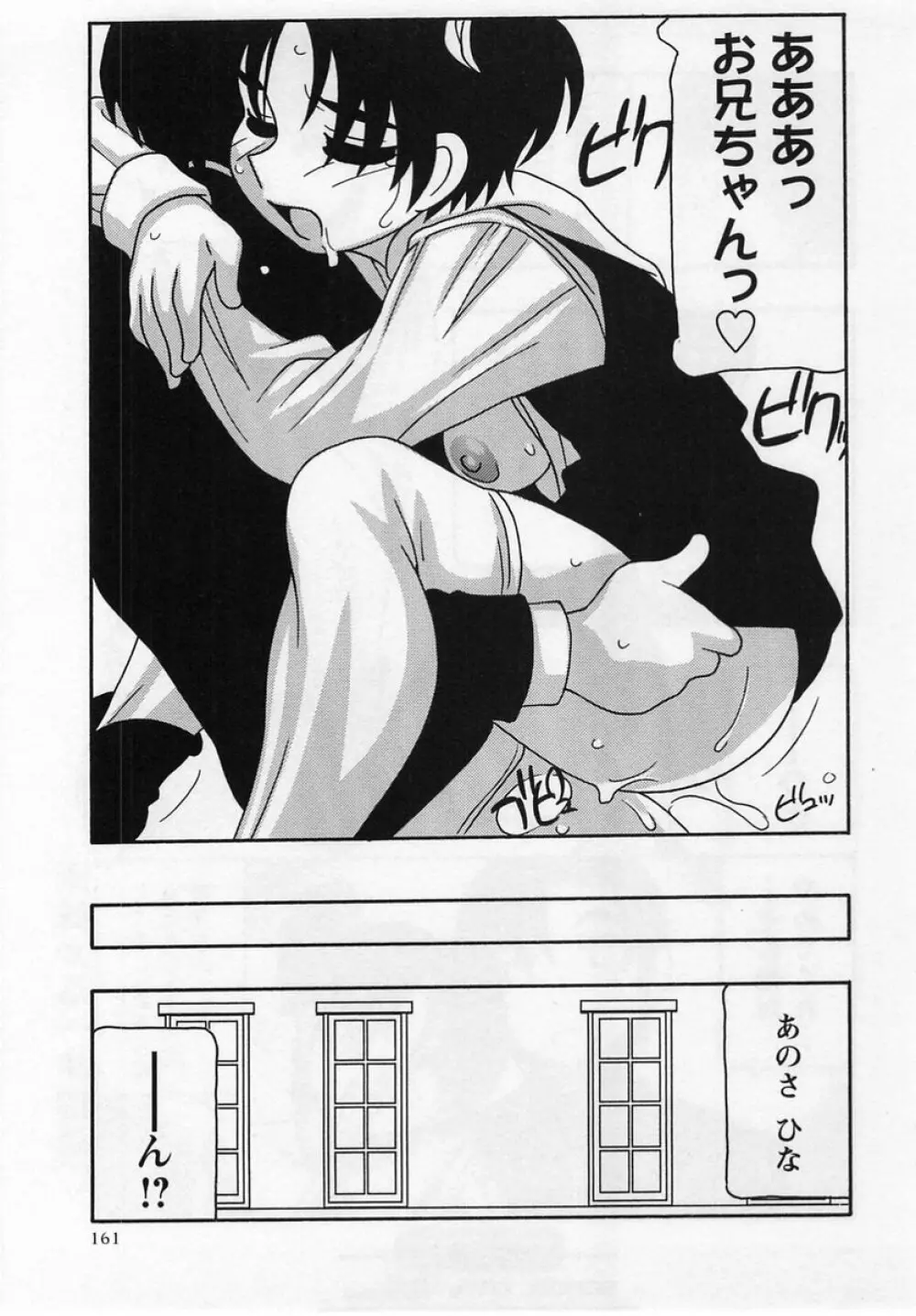 コミック・マショウ 2004年12月号 Page.161