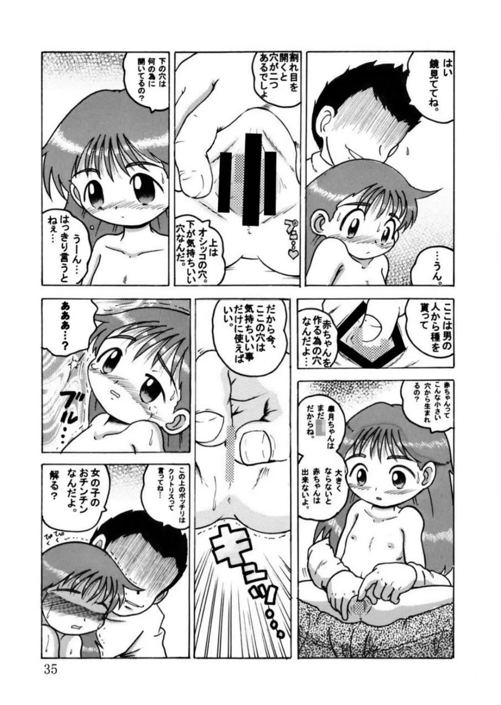 発掘総柑 其之弐 Page.35